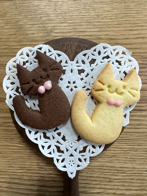 고양이 쿠키